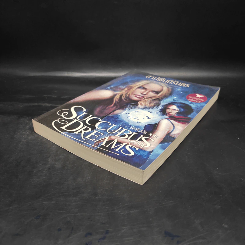 Succubus Dreams สาปฝันนิรันดร - ริเชลล์ มี้ด รูปที่ 4