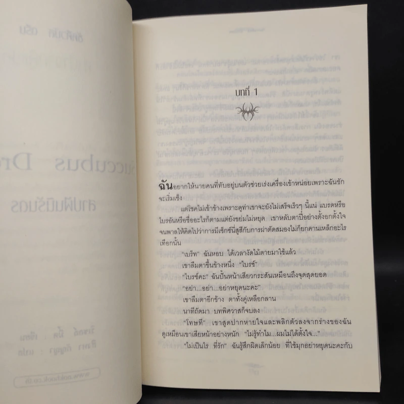 Succubus Dreams สาปฝันนิรันดร - ริเชลล์ มี้ด รูปที่ 6