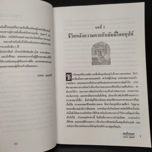 มัมมี่ไอยคุปต์ - บรรยง บุญฤทธิ์ รูปที่ 7