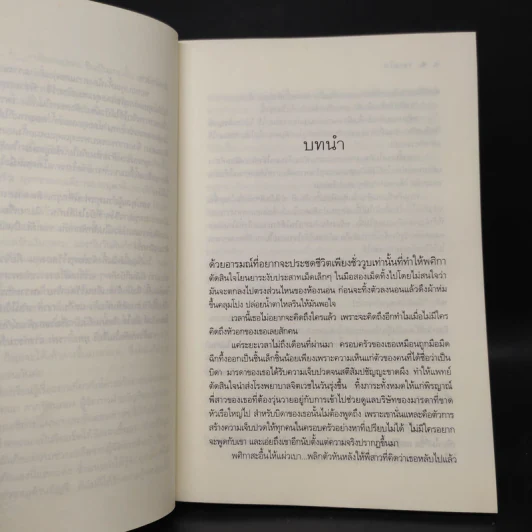 ทะเลไฟ - ณารา รูปที่ 6