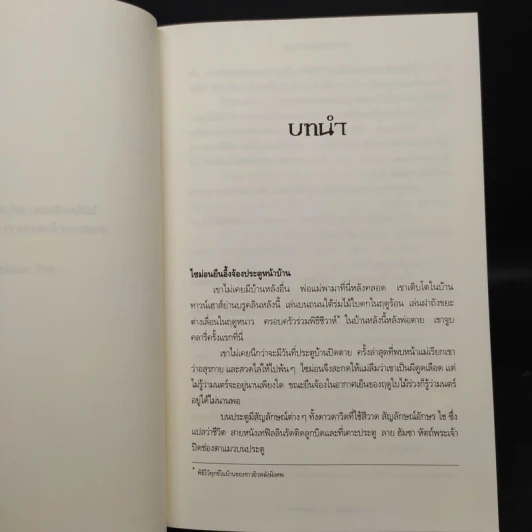 นครรัตติกาล เล่ม 1-5 - Cassandra Clare (คาสซานดรา แคลร์) รูปที่ 6