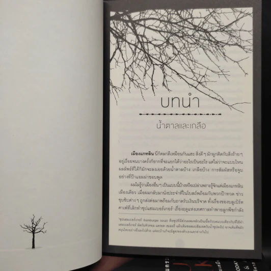Beautiful Creatures เล่ม 1-4 - Kami Garcia รูปที่ 6