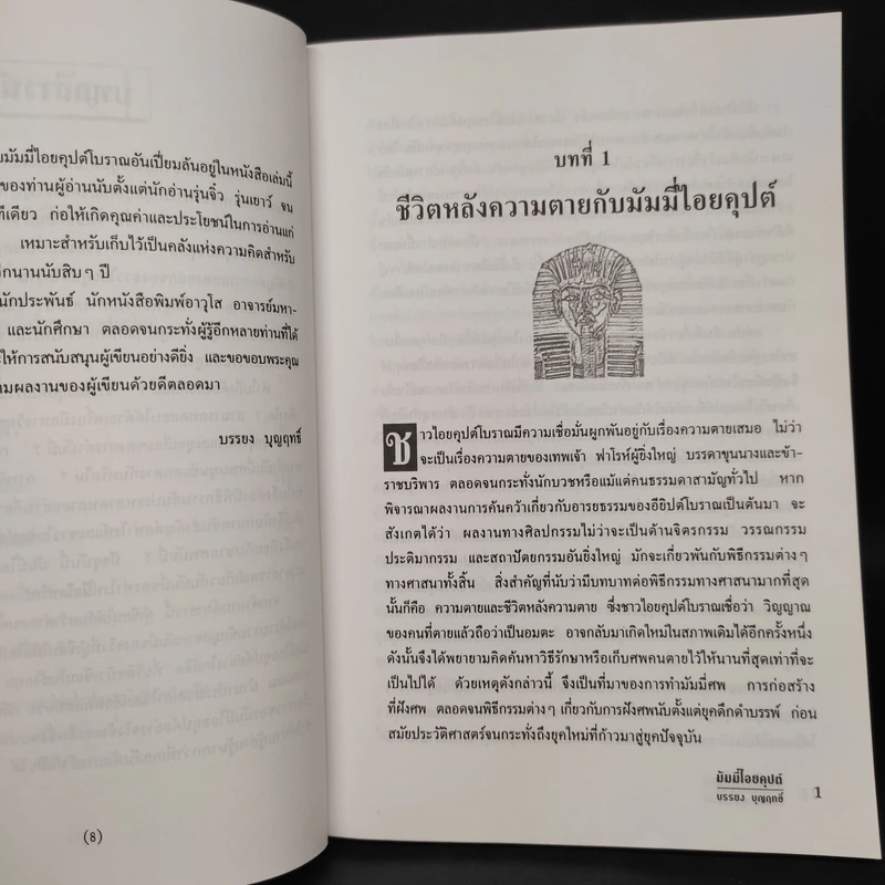 มัมมี่ไอยคุปต์ - บรรยง บุญฤทธิ์ รูปที่ 7