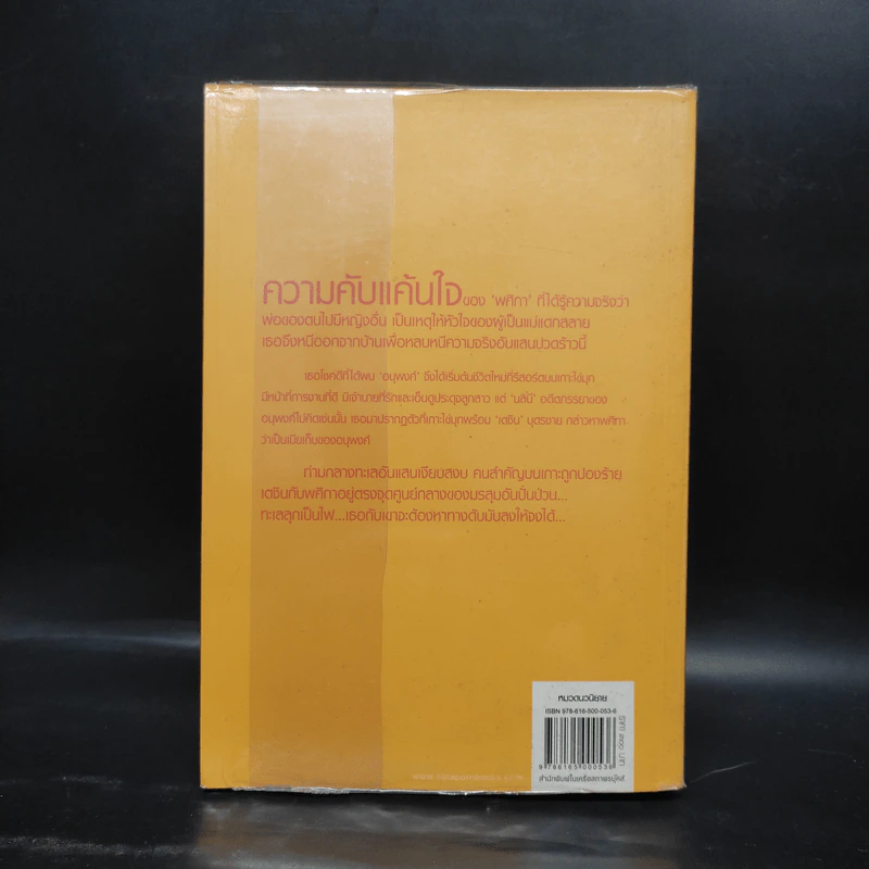 ทะเลไฟ - ณารา รูปที่ 2