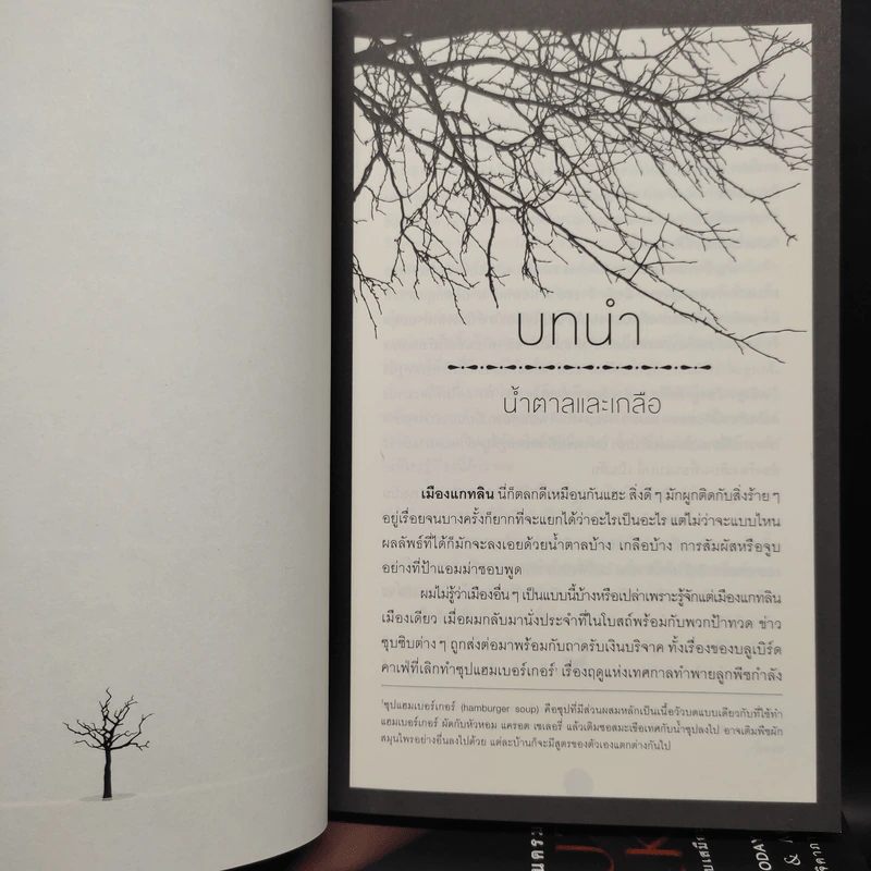 Beautiful Creatures เล่ม 1-4 - Kami Garcia รูปที่ 6