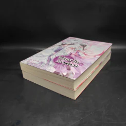ซ่อนรักวิวาห์ลวง 2 เล่มจบ - Yue Xia Die Ying (เย่ว์เซี่ยเตี๋ยอิ่ง) รูปที่ 4