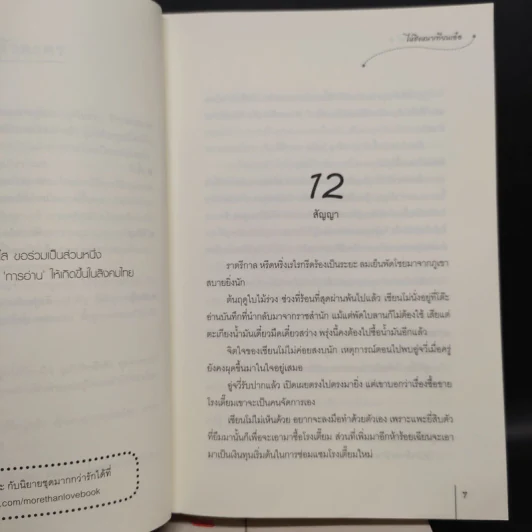 ย้อนกาลสารทวสันต์ 2 เล่มจบ - ไห่ชิงหนาเทียนเอ๋อ รูปที่ 7