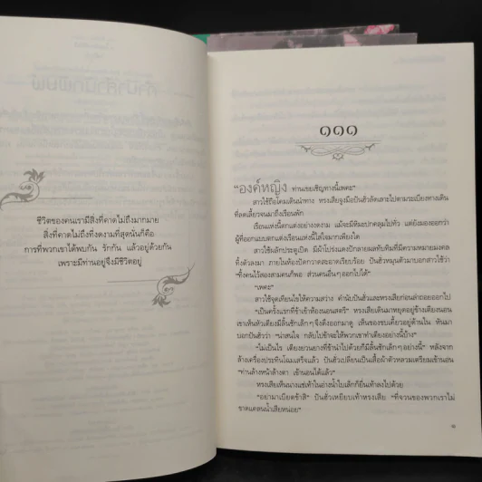 ข้าก็เป็นสตรีเช่นนี้ 3 เล่มจบ - เย่ว์เซี่ยเตี๋ยอิ่ง (Yue Xia Die Ying) รูปที่ 6