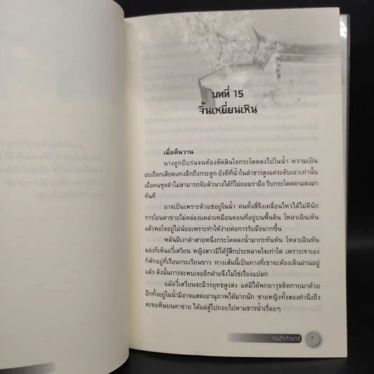 จอมใจเจ้ายุทธ์ เล่ม 1-2 - เฉียนลู่ รูปที่ 7