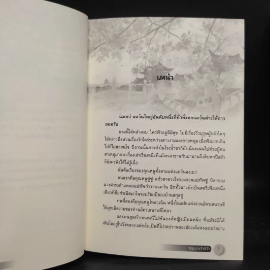 จอมนางเจ้าหัวใจ 2 เล่มจบ - เฉียนลู่ รูปที่ 6