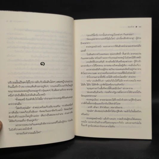 ม่านมนตรา - ชลนิล รูปที่ 6