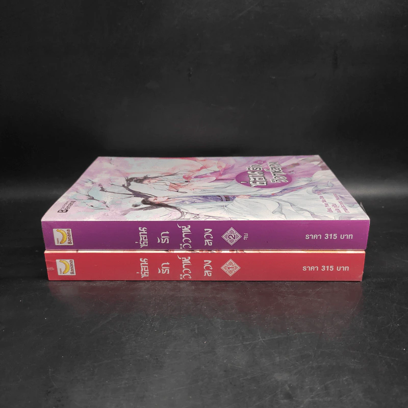 ซ่อนรักวิวาห์ลวง 2 เล่มจบ - Yue Xia Die Ying (เย่ว์เซี่ยเตี๋ยอิ่ง) รูปที่ 3