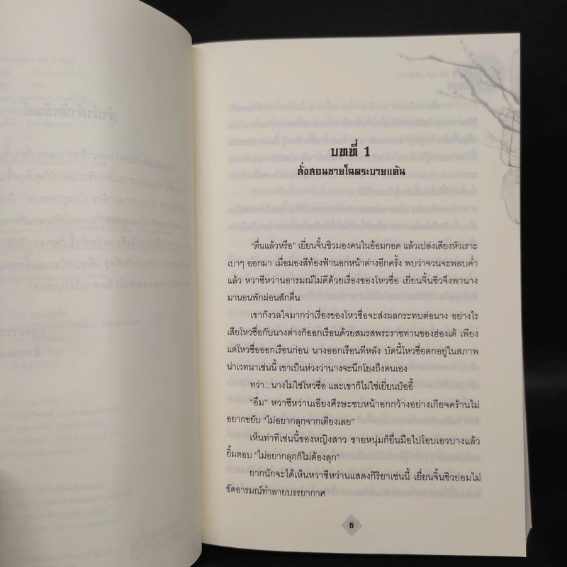 ซ่อนรักวิวาห์ลวง 2 เล่มจบ - Yue Xia Die Ying (เย่ว์เซี่ยเตี๋ยอิ่ง) รูปที่ 7