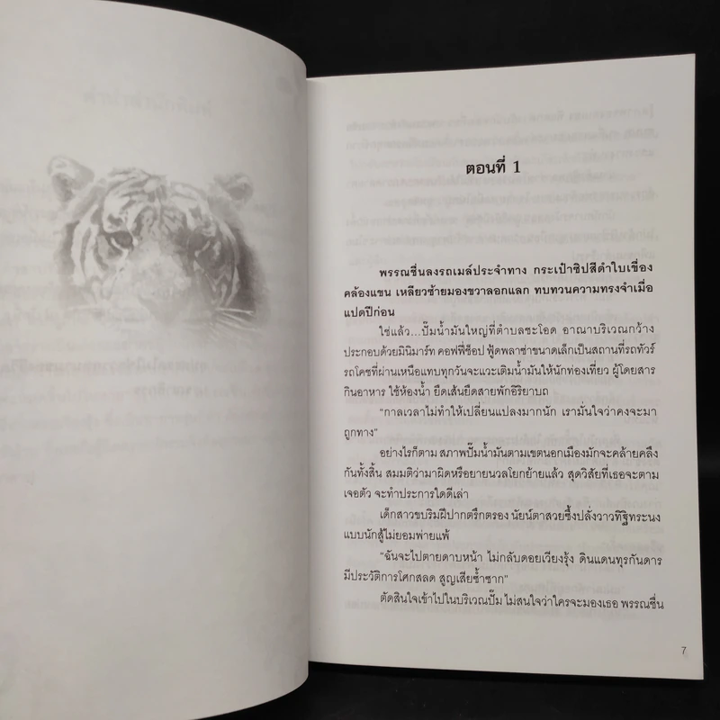สายพันธุ์พยัคฆ์ - ตรี อภิรุม รูปที่ 6