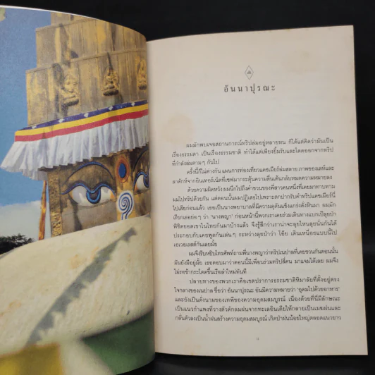 อันนาปุรณะ ระหว่างทางระหว่างดาว Annapurn - ยอดยุทธ ฉายสุวรรณ์ รูปที่ 6