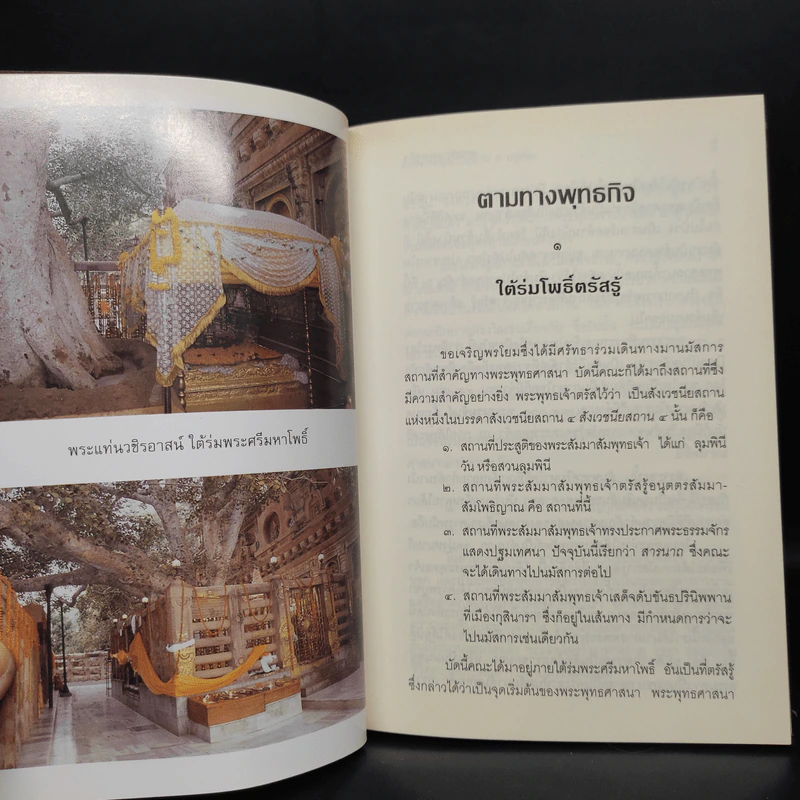 ตามทางพุทธกิจ - พระพรหมคุณาภรณ์ (ป.อ.ปยุตโต) รูปที่ 7