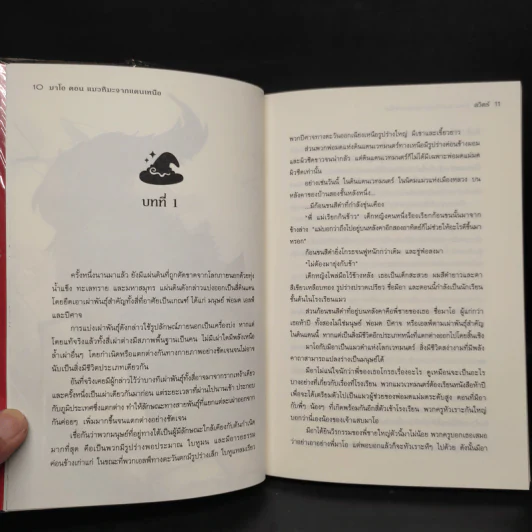 มาโอ ตอน แมวหิมะจากแดนเหนือ - ลวิตร์ รูปที่ 6
