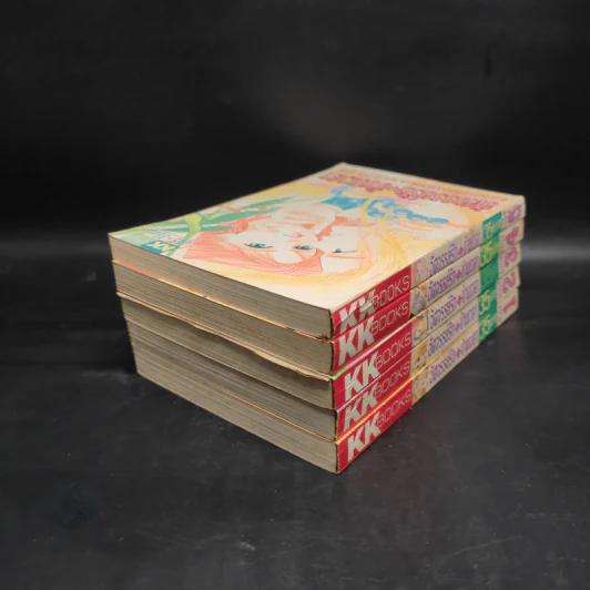 อัศจรรย์รักข้ามเวลา เล่ม 1-5 รูปที่ 4