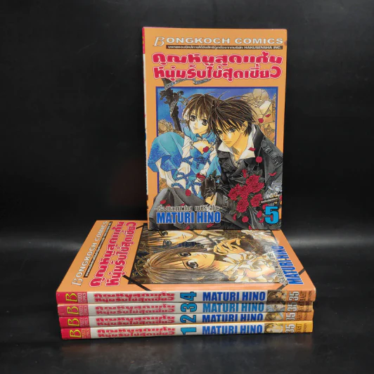 คุณหนูสุดแก่น หนุ่มรับใช้สุดเซี้ยว เล่ม 1-5 รูปที่ 1