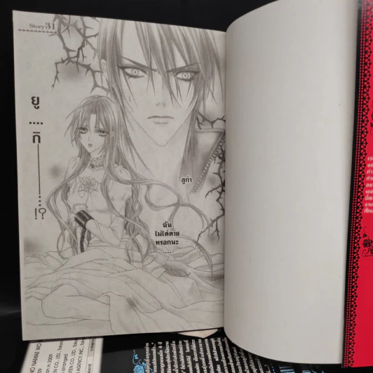 ปริศนารัก สลักแค้นข้ามภพ เล่ม 1-7 รูปที่ 5