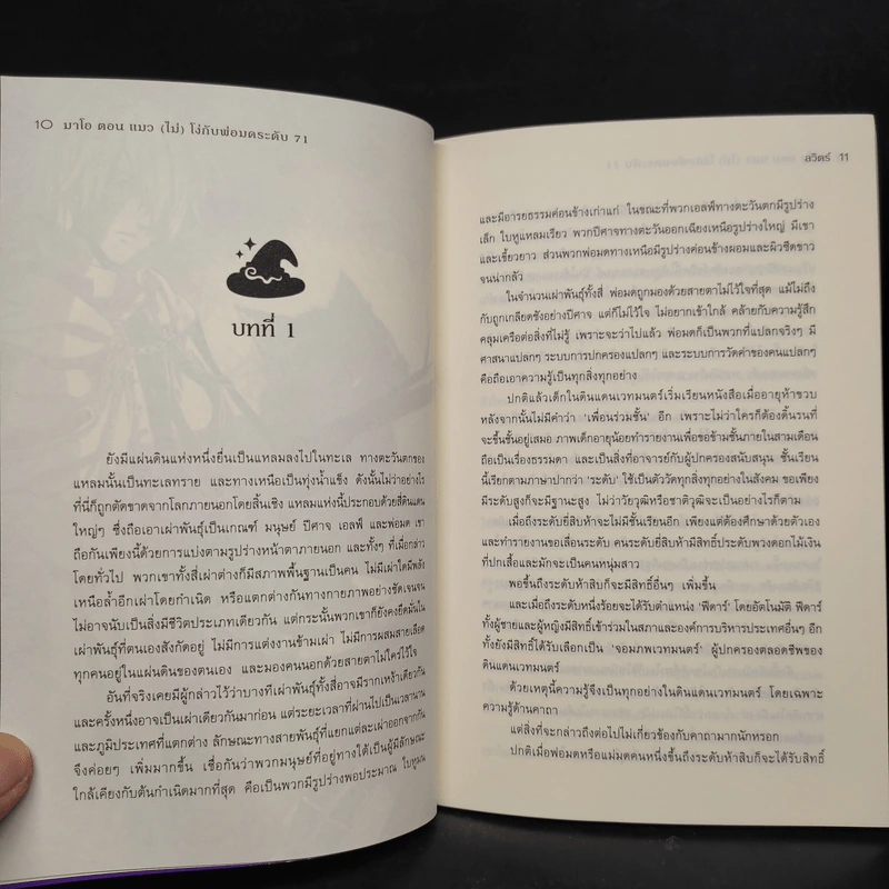 มาโอ ตอน แมว (ไม่) โง่กับพ่อมดระดับ 71 - ลวิตร์ รูปที่ 6