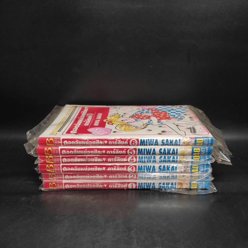 กอดฉันหน่อยซิค่ะ ดาร์ลิงค์ 6 เล่มจบ รูปที่ 2