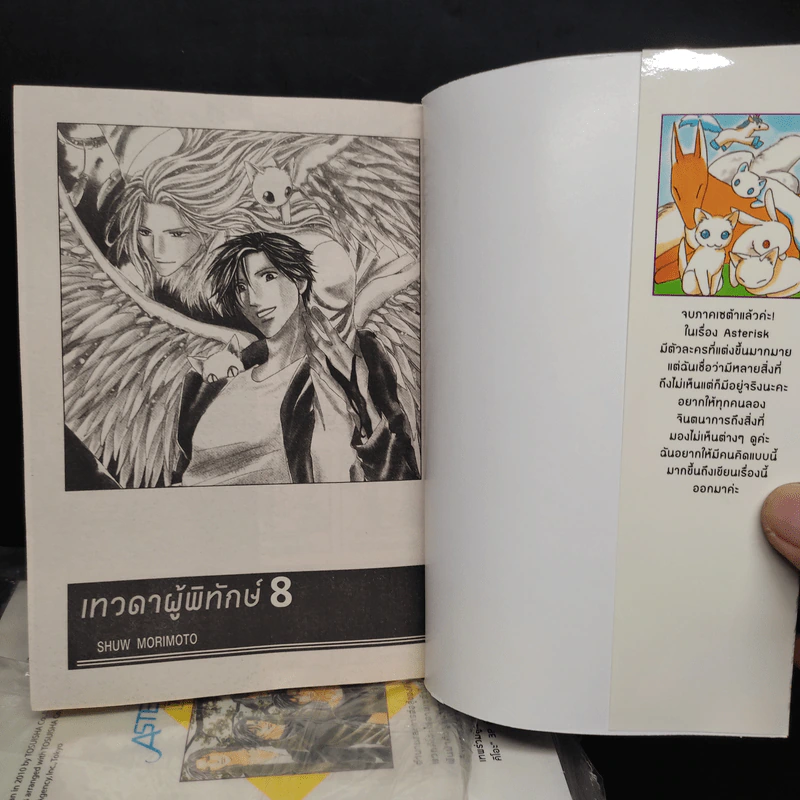 ASTERISK เทวดาผู้พิทักษ์ 8 เล่มจบ รูปที่ 5