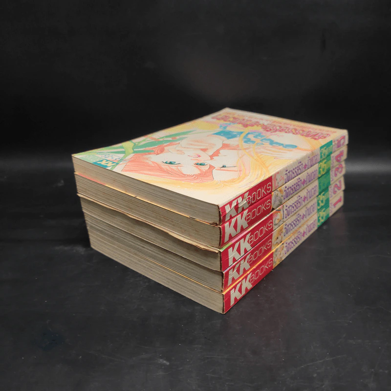 อัศจรรย์รักข้ามเวลา เล่ม 1-5 รูปที่ 4