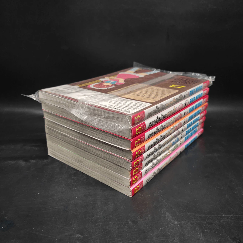 คุณพ่อบ้านหวานใจเมย์จัง เล่ม 1-6,8,9 รูปที่ 4