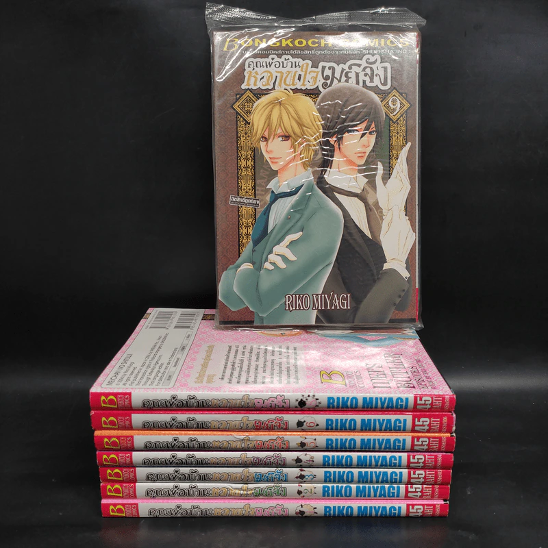 คุณพ่อบ้านหวานใจเมย์จัง เล่ม 1-6,8,9 รูปที่ 1