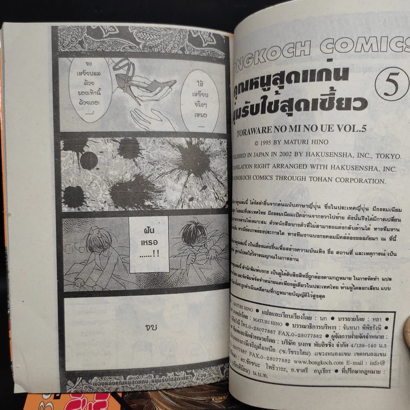คุณหนูสุดแก่น หนุ่มรับใช้สุดเซี้ยว เล่ม 1-5 รูปที่ 8