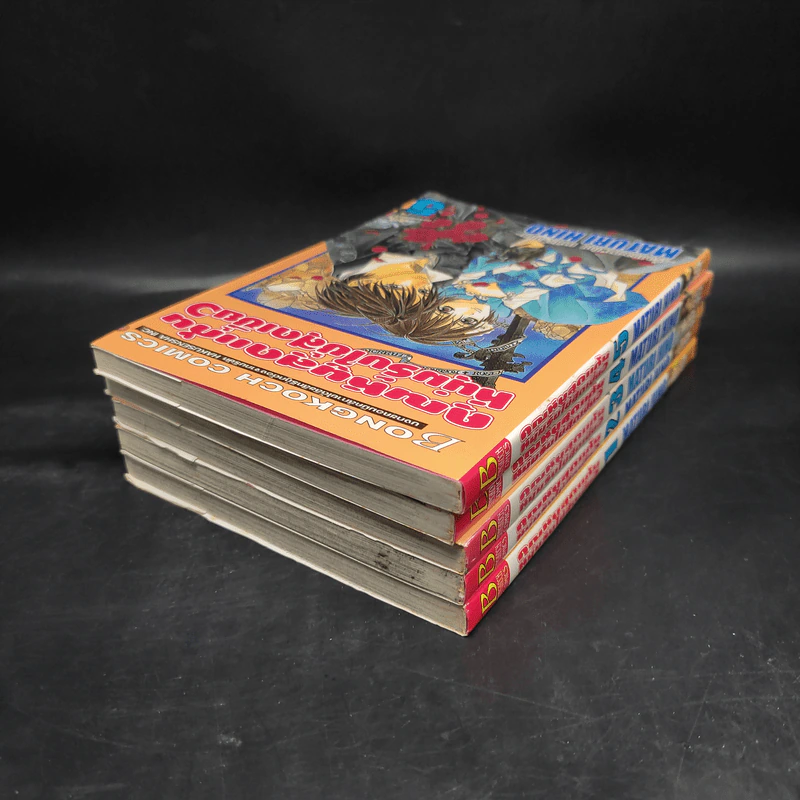 คุณหนูสุดแก่น หนุ่มรับใช้สุดเซี้ยว เล่ม 1-5 รูปที่ 4