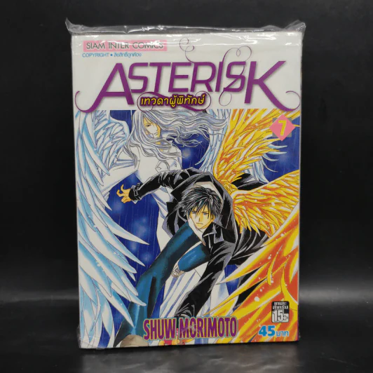 ASTERISK เทวดาผู้พิทักษ์ เล่ม 7 รูปที่ 1