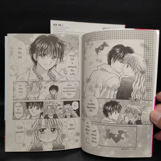Dice เดิมพันพนันหัวใจ 2 เล่มจบ รูปที่ 6