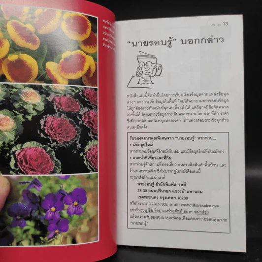 นายรอบรู้ นักเดินทาง เชียงใหม่ รูปที่ 5
