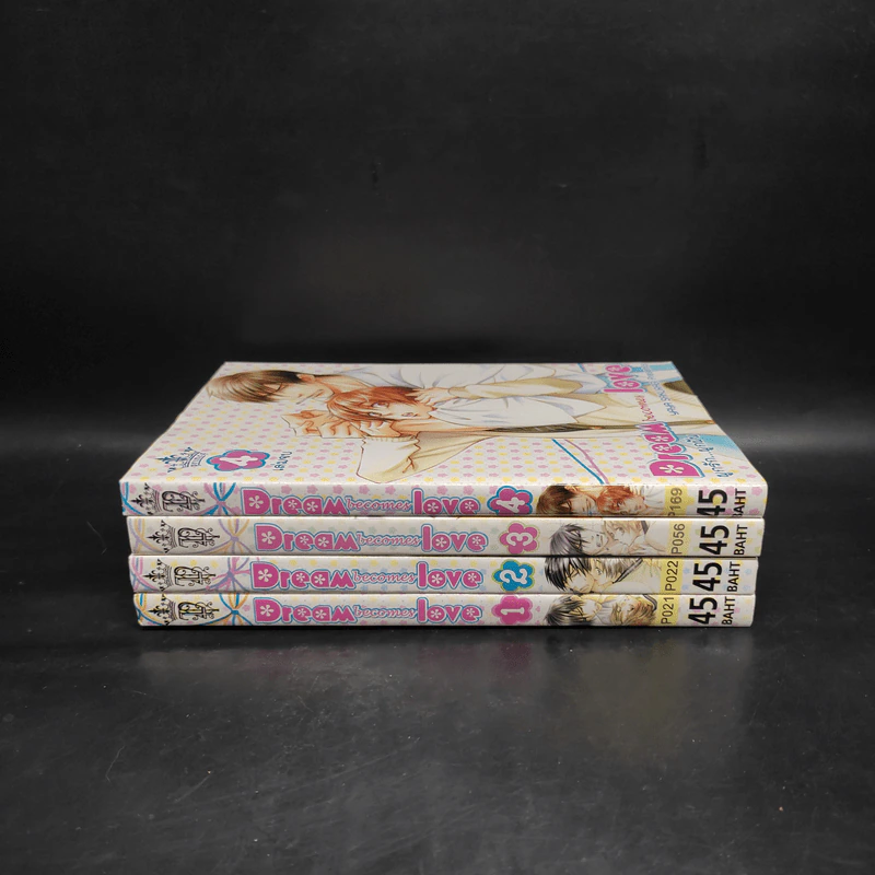 การ์ตูนวาย Dream becomes Love ผูกรัก...ผูกฝัน 4 เล่มจบ รูปที่ 2