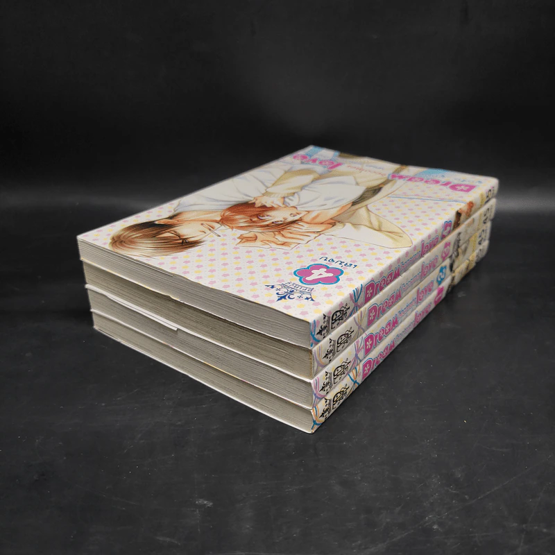 การ์ตูนวาย Dream becomes Love ผูกรัก...ผูกฝัน 4 เล่มจบ รูปที่ 4