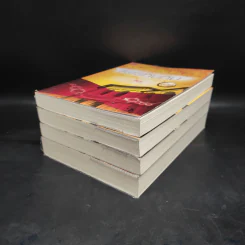 ชุด นวลนางเดอะซีรีส์ร้ายเพราะรัก 4 เล่ม รูปที่ 3