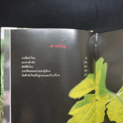 คู่มือคนปลูกต้นไม้ ปลูกผักไทย ได้ทั้งอาหารและยา - รศ.ดร.วีณา เชิดบุญชาติ รูปที่ 6