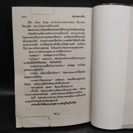 ปลายทางฝัน - จามรี พรรณชมพู รูปที่ 6
