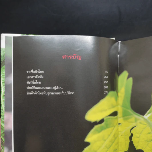 คู่มือคนปลูกต้นไม้ ปลูกผักไทย ได้ทั้งอาหารและยา - รศ.ดร.วีณา เชิดบุญชาติ รูปที่ 6