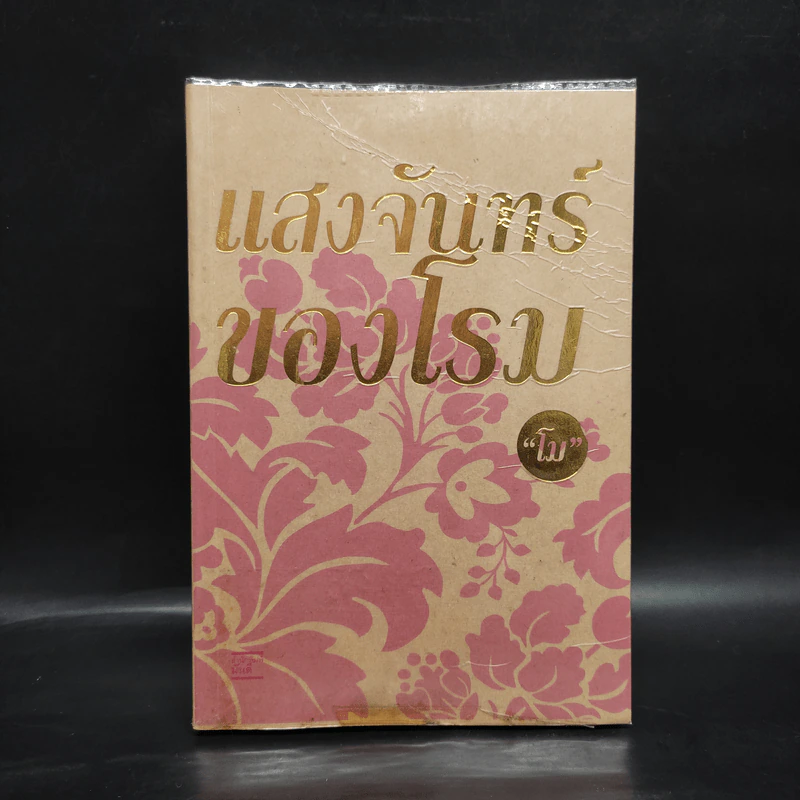 แสงจันทร์ของโรม - โม รูปที่ 1