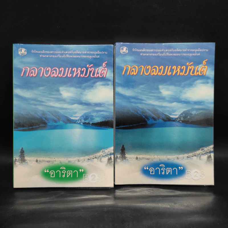 กลางลมเหมันต์ 2 เล่มจบ - อาริตา รูปที่ 1