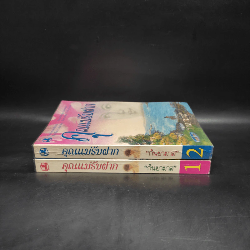 คุณแม่รับฝาก 2 เล่มจบ - กันยามาส รูปที่ 3