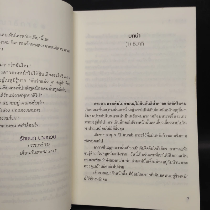 ออกญา - กรกุณารี รูปที่ 6