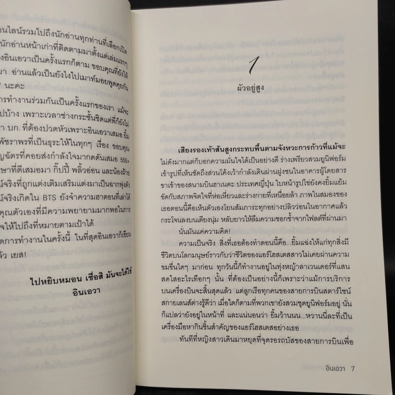 หมื่นฟุตสะดุดรัก - อินเอวา รูปที่ 6