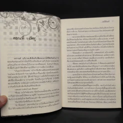 พันธะเถื่อน - มณีจันท์ รูปที่ 6