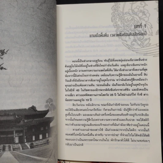 เจาะมิติพิชิตบัลลังก์ 4 เล่มจบ - ถงหัว รูปที่ 6