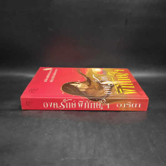 องครักษ์พิทักษ์ใจ - อาริตา รูปที่ 3