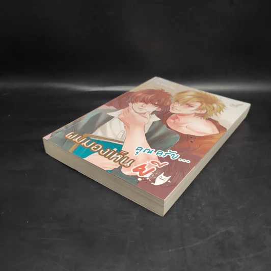 นิยายวาย คุณครับ...ผมมองเห็นผี - Violet Rain รูปที่ 4